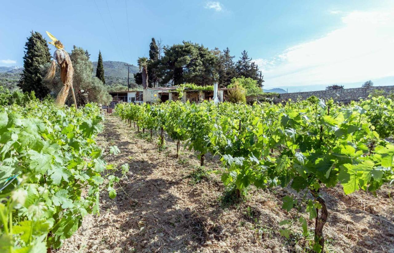 Villa Nassibe Estate Agios Ioannis  Esterno foto